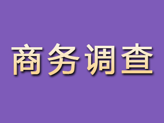 沈河商务调查